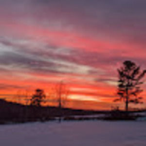 Meet your Posher, Tom & judy